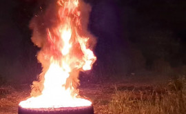 Сжигание покрышек как действовали природоохранные инспекторы