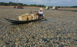 Priveliște înfricoșătoare pe un lac din Vietnam Ce se întîmplă