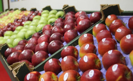 Cine sînt cei mai mari cumpărători de mere moldovenești 