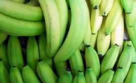 Что происходит в организме когда мы едим зеленые бананы
