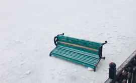 Скамейку в парке Валя Морилор бросили на лед озера
